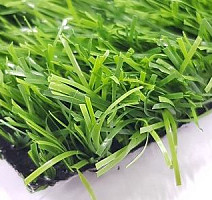 Forio Geleonsport 40mm